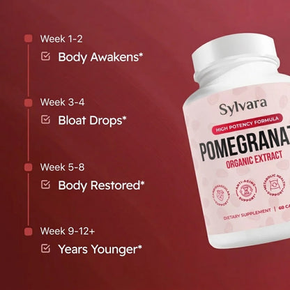 Pomegranate Extract — Metabolic Support